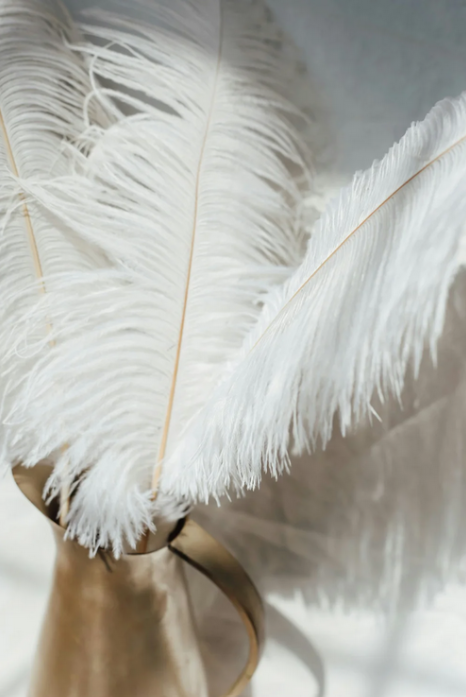 White feathers in a brass vase